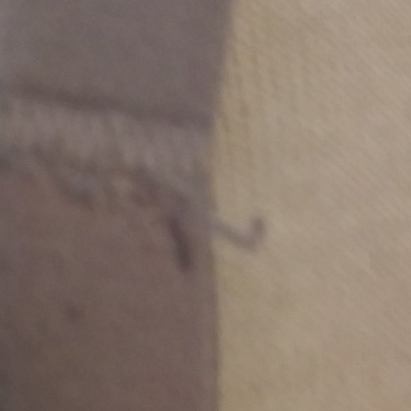 Victorias Secret Body by Victoria No Wire 36D Bra - Picture 12 of 16